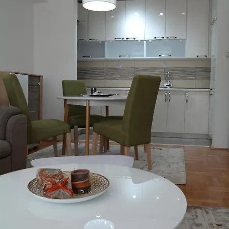 Apartment City-park Elena *